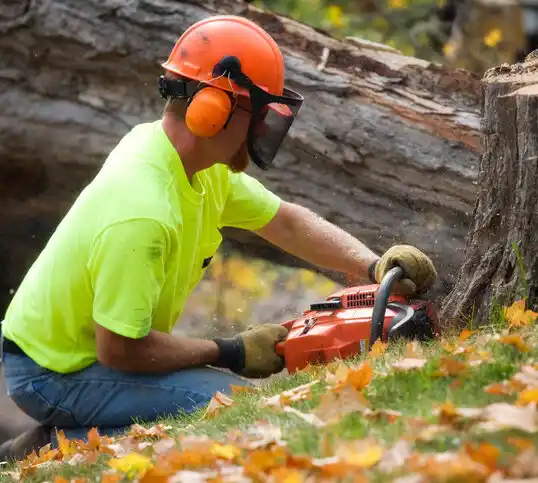 tree services Mint Hill